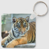 Porte-clés Tigre 034 (Dos)