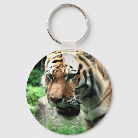 Porte-clés Tigre au Porte - clé du zoo Bronx (Recto)