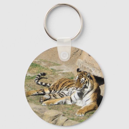 Porte-clés Tigre couchant (Recto)