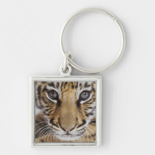 Porte-clés Tigre CUB