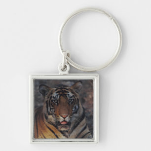 Porte-clés Tigre CUB de Bengale