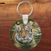Porte-clés Tigre dans l'eau (Recto)
