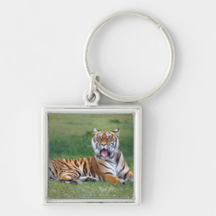Porte-clés Tigre de baîllement