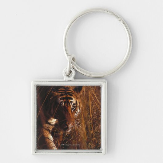Porte-clés Tigre de Bengale (Devant)