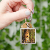 Porte-clés Tigre de Bengale dans les marécages (main)