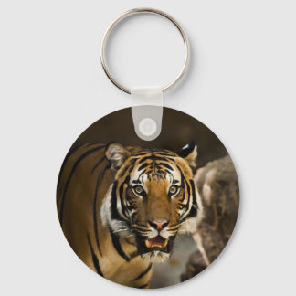 Porte-clés Tigre de Sibérie