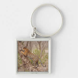 Porte-clés Tigre du Bengale royal grimpant à l'arbre,