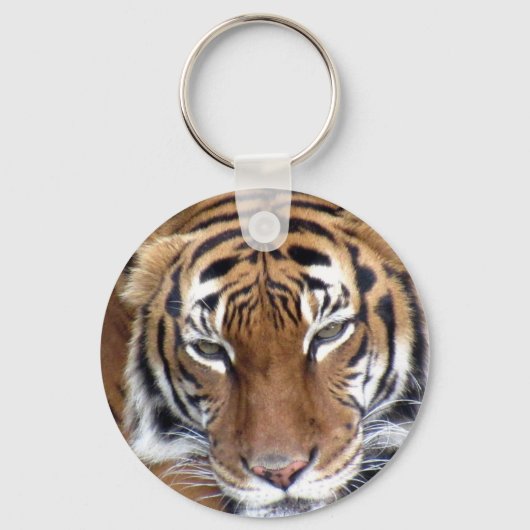 Porte-clés Tigre - Porte - clé (Recto)