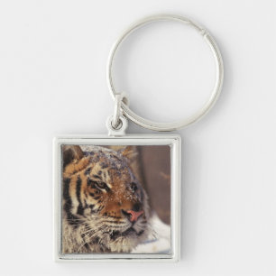 Porte-clés Tigre sibérien