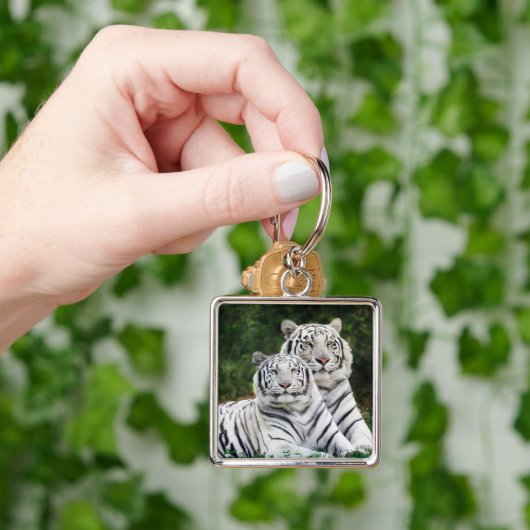 Porte-clés Tigres blancs (main)