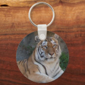 Porte-clés Tigres du Bengale (Recto)