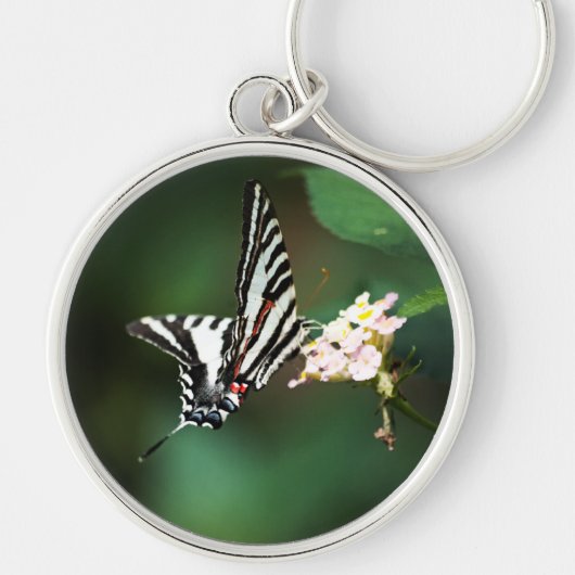 Porte-clés Tiny Zebra Porte - clé (Devant)