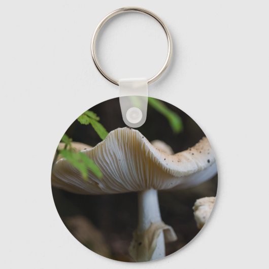 Porte-clés Toadstool parapluie (Recto)