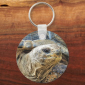 PORTE-CLÉS TORTOISE (Recto)