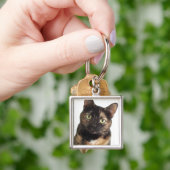 Porte-clés Tortoiseshell (main)