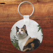 Porte-clés Tortoiseshell et Chat blanc (Recto)