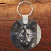 Porte-clés Tortoiseshell Kitten (Recto)
