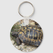 Porte-clés Tortue (Recto)
