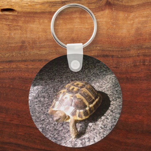 Porte-clés Tortue (Recto)