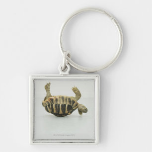 Porte-clés Tortue à l'envers, équilibrant sur la coquille