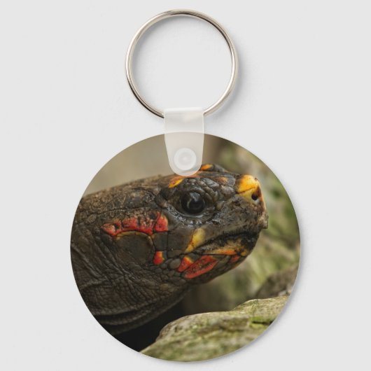 Porte-clés Tortue à pied rouge (Recto)