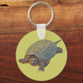 Porte-clés Tortue commune - Chelydra serpentina (Recto)