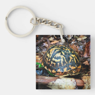 Porte-clés Tortue dans la forêt, Chester, South Carolina Post