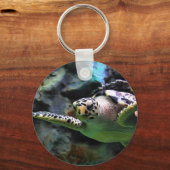 Porte-clés Tortue de mer (Recto)