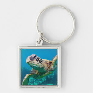 Porte-clés Tortue de mer verte nageant au-dessus du récif