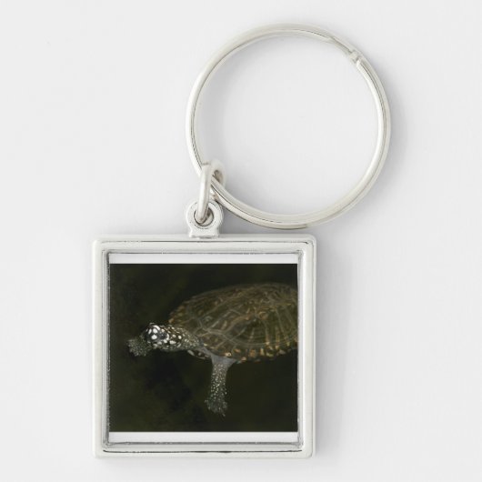 Porte-clés Tortue de natation (Devant)