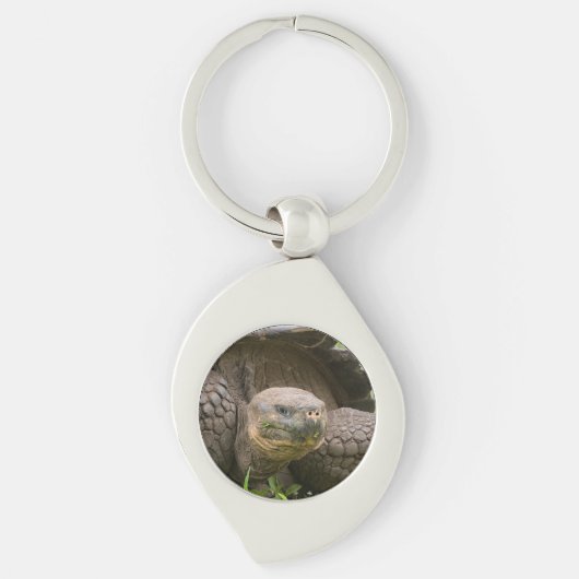 Porte-clés Tortue géante (Devant)