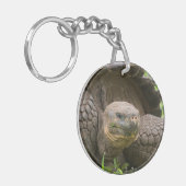 Porte-clés Tortue géante (Devant gauche)