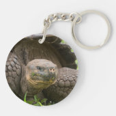 Porte-clés Tortue géante (Dos)