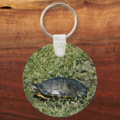 Porte-clés Tortue peinte (Recto)