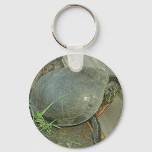 Porte-clés Tortue peinte (Chrysemys picta)