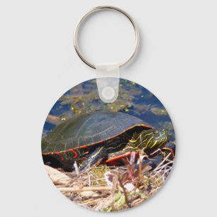 Porte-clés Tortue peinte (Chrysemys picta) 3