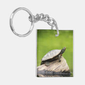 Porte-clés Tortue peinte sur un bûcher (Devant gauche)