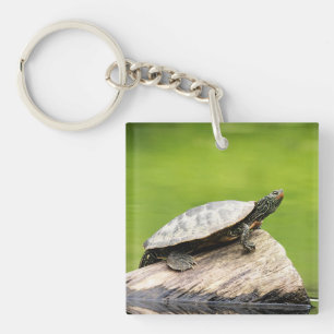 Porte-clés Tortue peinte sur un bûcher