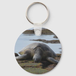 Porte-clés Tortue se reposant sur les roches