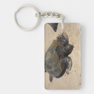 Porte-clés Tortues