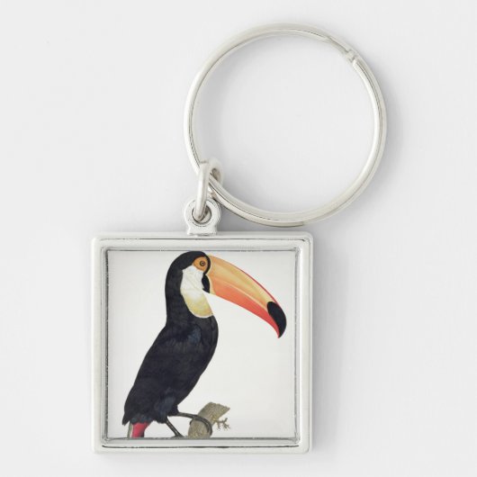 Porte-clés Toucan No.2, de la 'histoire des oiseaux de (Devant)