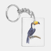 Porte-clés Toucan, oiseau tropical (Devant gauche)