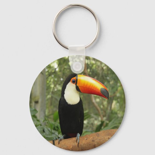 Porte-clés Toucan sur branche d'arbre (Recto)