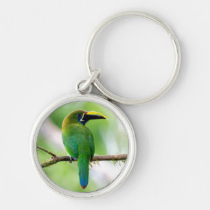 Porte-clés Toucanet émeraude du Nord au Costa Rica