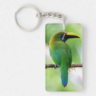 Porte-clés Toucanet émeraude du Nord & Barbet à tête rouge