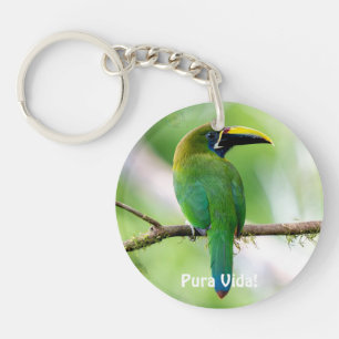 Porte-clés Toucanet émeraude du Nord & Morpho bleu