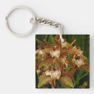 Porte-clés Tracyanum de Cymbidium