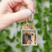 Porte-clés Traitement d'équilibre Golden Retriever sur le nez (main)