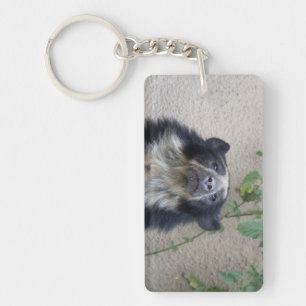 Porte-clés Tremarctos ornatus - Brillenbär