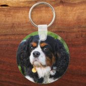 Porte-clés Tri Couleur Cavalier King Charles Spaniel Chien (Recto)